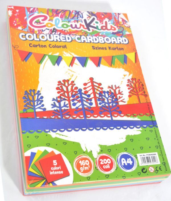 CARTON COPIATOR A4 AS INT 160G 5 CUL 200/TOP COLOUR KIDS PIGNA – poza 1