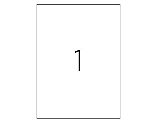 ETICHETE 1/A4 210*297MM COLTURI DREPTE 100/TOP TANEX – poza 2