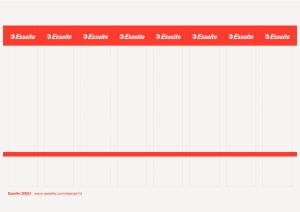 ETICHETE PRINTABILE 5CM (80 ETICHETE) ESSELTE – poza 1
