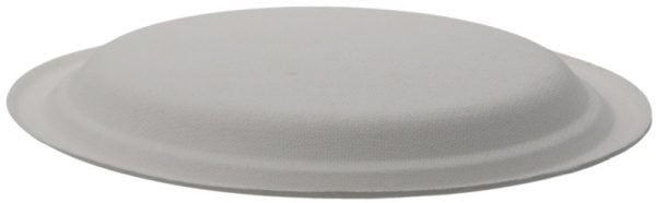 Farfurii biodegradabile din trestie de zahar ovale ,albe 318x255mm 50 buc/set – poza 3