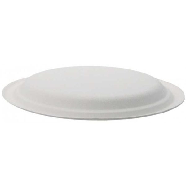 Farfurii biodegradabile din trestie de zahar rotunde,albe d220mm 50 buc/set – poza 3
