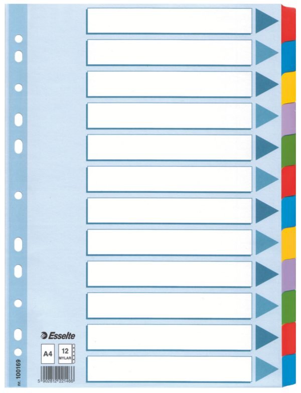 SEPARATOARE INDEX CARTON 12 COLI MYLAR ESSELTE – poza 1