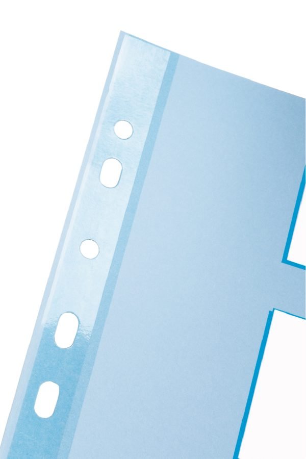 SEPARATOARE INDEX CARTON 5 COLI STANDARD ESSELTE – poza 2