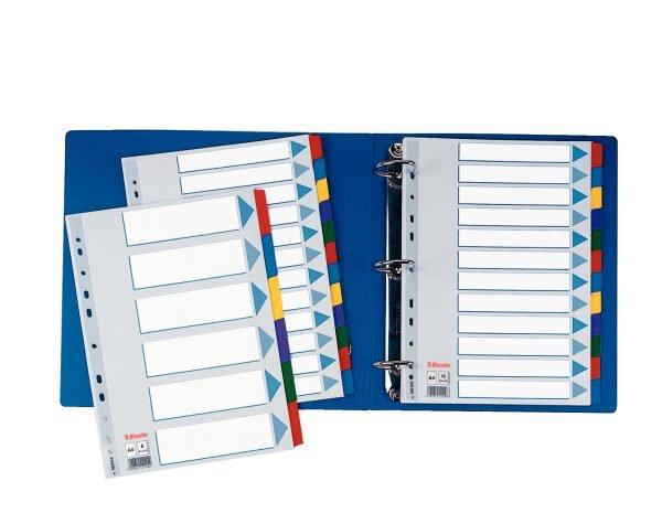 SEPARATOARE INDEX CARTON 6 COLI  MYLAR ESSELTE – poza 2