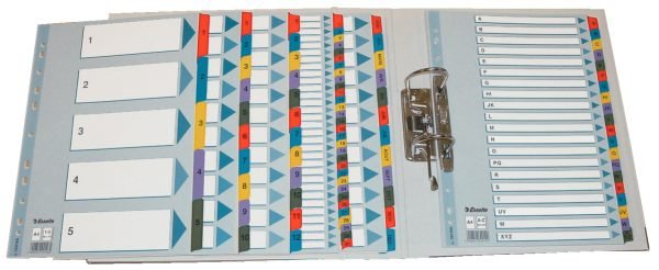 SEPARATOARE INDEX CARTON IAN-DEC MYLAR ESSELTE – poza 1