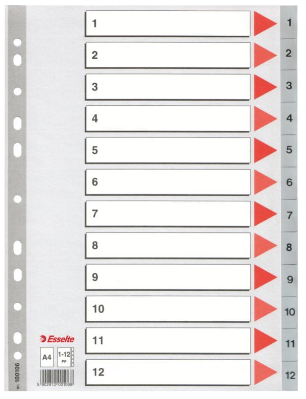 SEPARATOARE INDEX PLASTIC 1-12 ESSELTE – poza 1