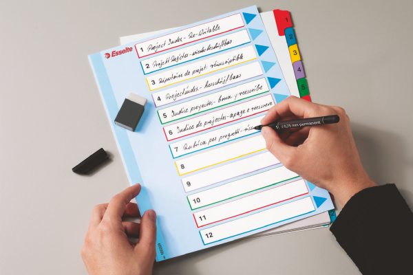 SEPARATOARE INDEX PLASTIC 1-12 REINSCRIPTIBIL ESSELTE – poza 2