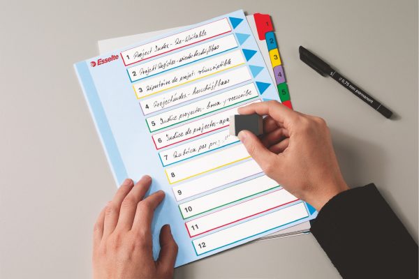 SEPARATOARE INDEX PLASTIC 1-12 REINSCRIPTIBIL ESSELTE – poza 3
