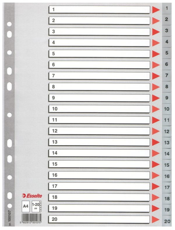SEPARATOARE INDEX PLASTIC 1-20 ESSELTE – poza 1
