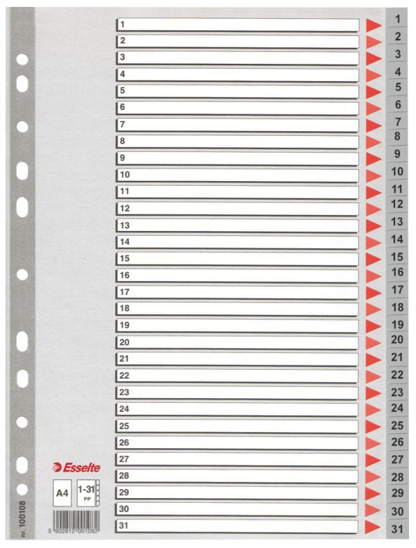 SEPARATOARE INDEX PLASTIC 1-31 ESSELTE – poza 1