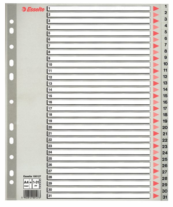 SEPARATOARE INDEX PLASTIC 1-31 MAXI ESSELTE – poza 1