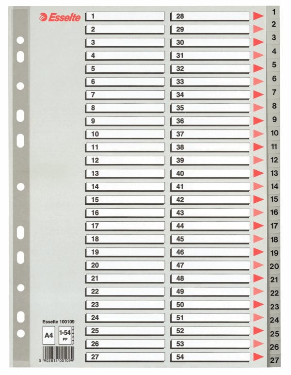 SEPARATOARE INDEX PLASTIC 1-54 MAXI ESSELTE – poza 1
