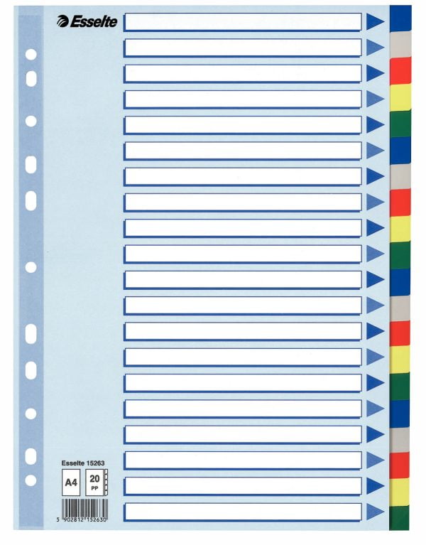 SEPARATOARE INDEX PLASTIC 20 CULORI ESSELTE – poza 1
