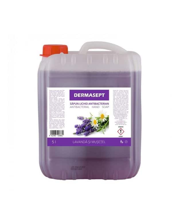 Sapun lichid antibacterian 5l Ekomax Dermasept – poza 1