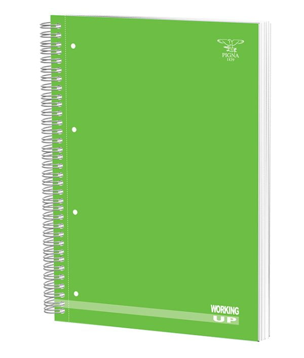 CAIET SPIRA A4 140F DR FLUORESCENT CARTONAT PIGNA – poza 4
