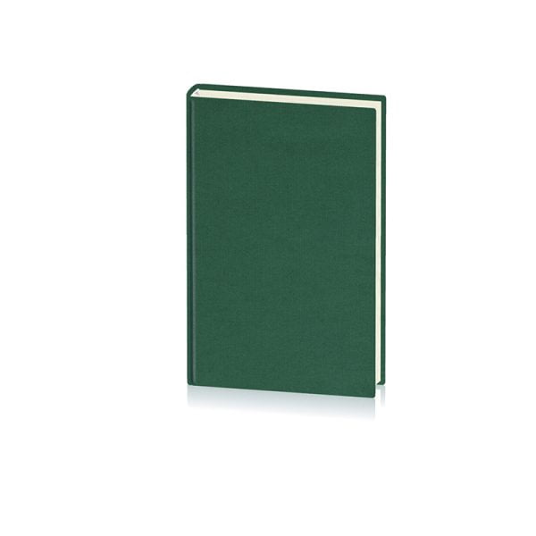 AGENDA A5 NEDATATA VERDE 2025 DOMINO EGO – poza 1