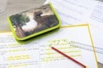 PENAR ECHIPAT 42 PIESE DINOZAURI EBERHARD FABER – poza 3