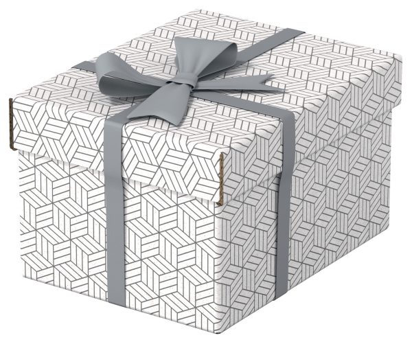 CUTIE DEPOZITARE CU CAPAC 25*20*15CM ALBA RECYCLED ESSELTE – poza 2