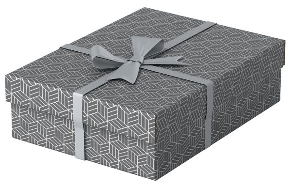CUTIE DEPOZITARE CU CAPAC 36*26*10CM GRI RECYCLED ESSELTE – poza 2