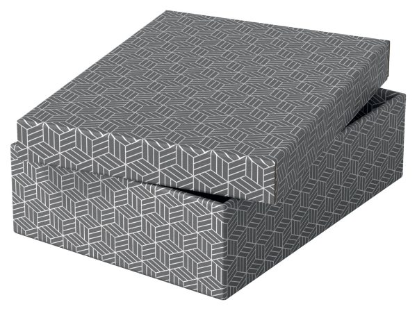 CUTIE DEPOZITARE CU CAPAC 36*26*10CM GRI RECYCLED ESSELTE – poza 5