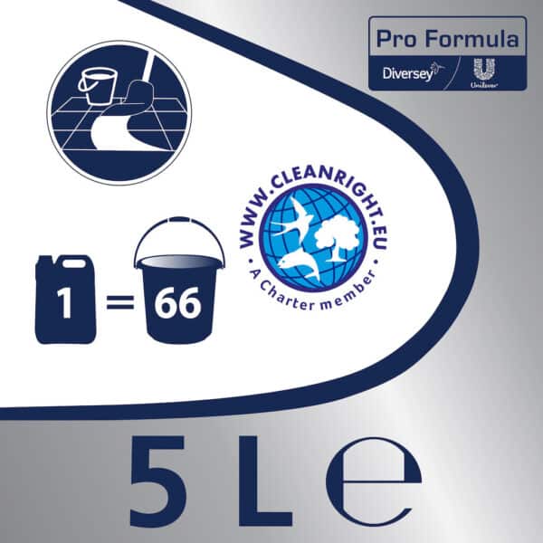 Detergent Parchet si Suprafete din Lemn Cif Professional 5L – poza 3