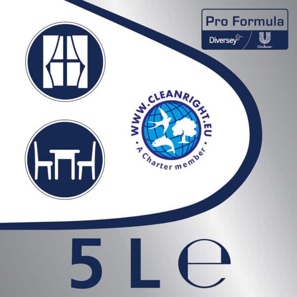 Detergent Profesional de Geam și Multisuprafețe Cif Pro Formula 5L – poza 2