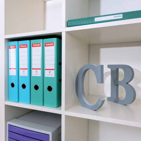BIBLIORAFT PLASTIFIAT INT-EXT 7.5 CM CORAI NR1 POWER COLOUR'BREEZE FSC ESSELTE – poza 5
