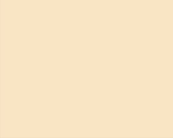 CARTON COPIATOR A4 CREAM 160G 250/TOP CR20 NIVEUS – poza 2