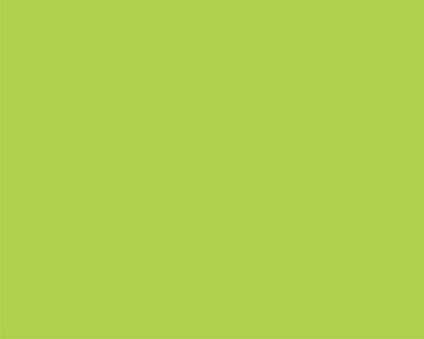 CARTON COPIATOR A4 VERDE LIME INTENS 160G 250/TOP LG46 NIVEUS – poza 2