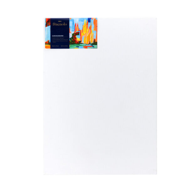 CARTON PANZAT 50*70CM DELI – poza 1