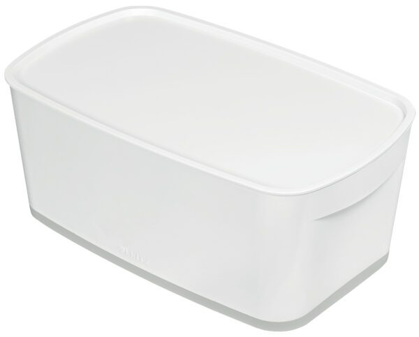 CUTIE DEPOZITARE CU CAPAC MICA ALB/GRI MYBOX LEITZ – poza 1