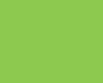 HARTIE COPIATOR A4 VERDE INTENS 80G 500/TOP MA42 NIVEUS – poza 2