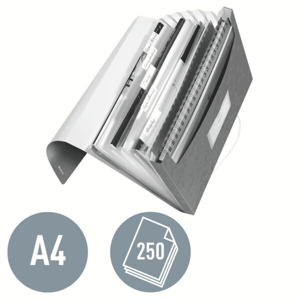 MAPA PLASTIC 6 COMPARTIMENTE ROSIE TIP PROIECT WOW LEITZ – poza 4