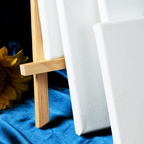 PANZA PENTRU PICTURA PE SASIU 60*80CM DELI – poza 2
