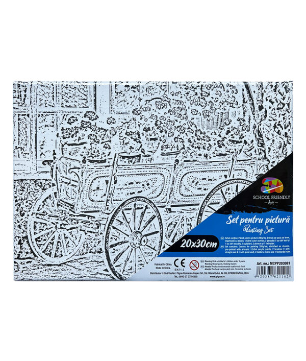 PANZA PREDESENATA PE SASIU 20*30CM FLORI 2 SF ART PIGNA – poza 1