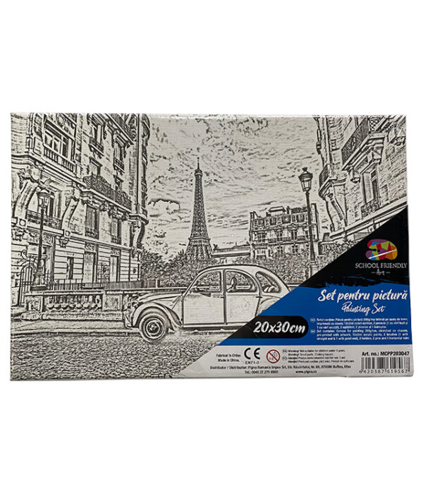 PANZA PREDESENATA PE SASIU 20 x 30 CM PARIS SF ART PIGNA – poza 1