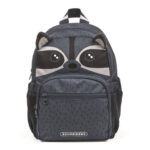 RUCSAC GRADINITA ROCKY RACOON GRI SCHNEIDERS – poza 1