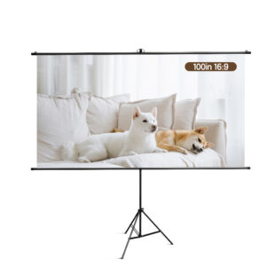 ECRAN PROIECTIE 220 x 124.5 CM MANUAL PE TREPIED DELI – poza 1
