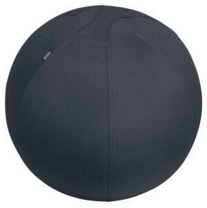 MINGE ERGONOMICA PT SEZUT SAU FITNESS FCT OPRIRE 65CM GRI CARBUNE LEITZ – poza 1