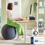 MINGE ERGONOMICA PT SEZUT SAU FITNESS FCT OPRIRE 65CM GRI CARBUNE LEITZ – poza 2