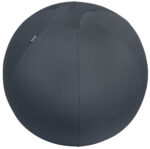 MINGE ERGONOMICA PT SEZUT SAU FITNESS GRI ANTRACIT LEITZ – poza 1