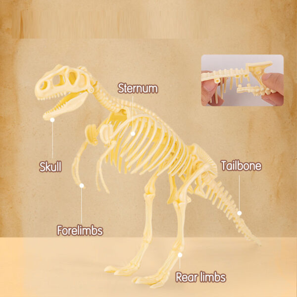 SET CREATIV FOSSILE DETECTIVE TYRANNOSAURUS DELI – poza 4
