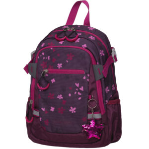 RUCSAC CLS PREGATITOARE BERRY BLOSSOM VISINIU SCHNEIDERS – poza 1