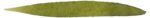 CERNEALA 75ML VERDE OLIV GRAF VON FABER-CASTELL – poza 3