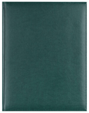 AGENDA A4 NEDATATA VERDE ACTIV EGO – poza 1
