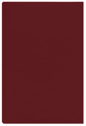 AGENDA A5 NEDATATA BORDEAUX DOMINO  EGO – poza 1