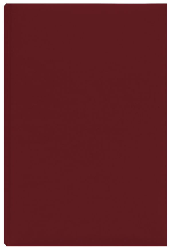 AGENDA A5 NEDATATA BORDEAUX DOMINO  EGO – poza 1