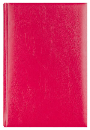 AGENDA A5 ZILNICA BORDO 2026 BASIC EGO – poza 1