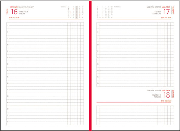 AGENDA A5 ZILNICA NEAGRA 2026 BASIC EGO – poza 3