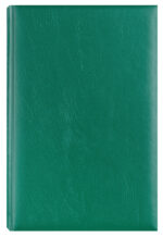 AGENDA A5 ZILNICA VERDE 2026 BASIC EGO – poza 1